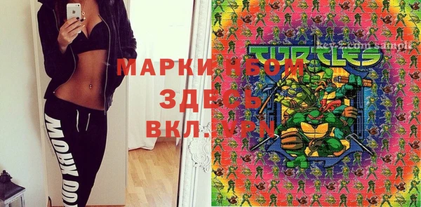 стаф Вяземский