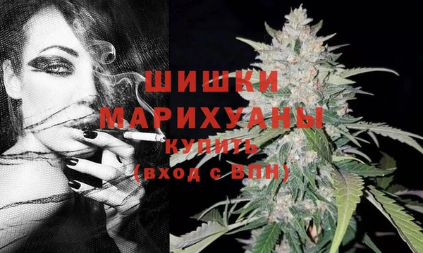 стаф Вяземский
